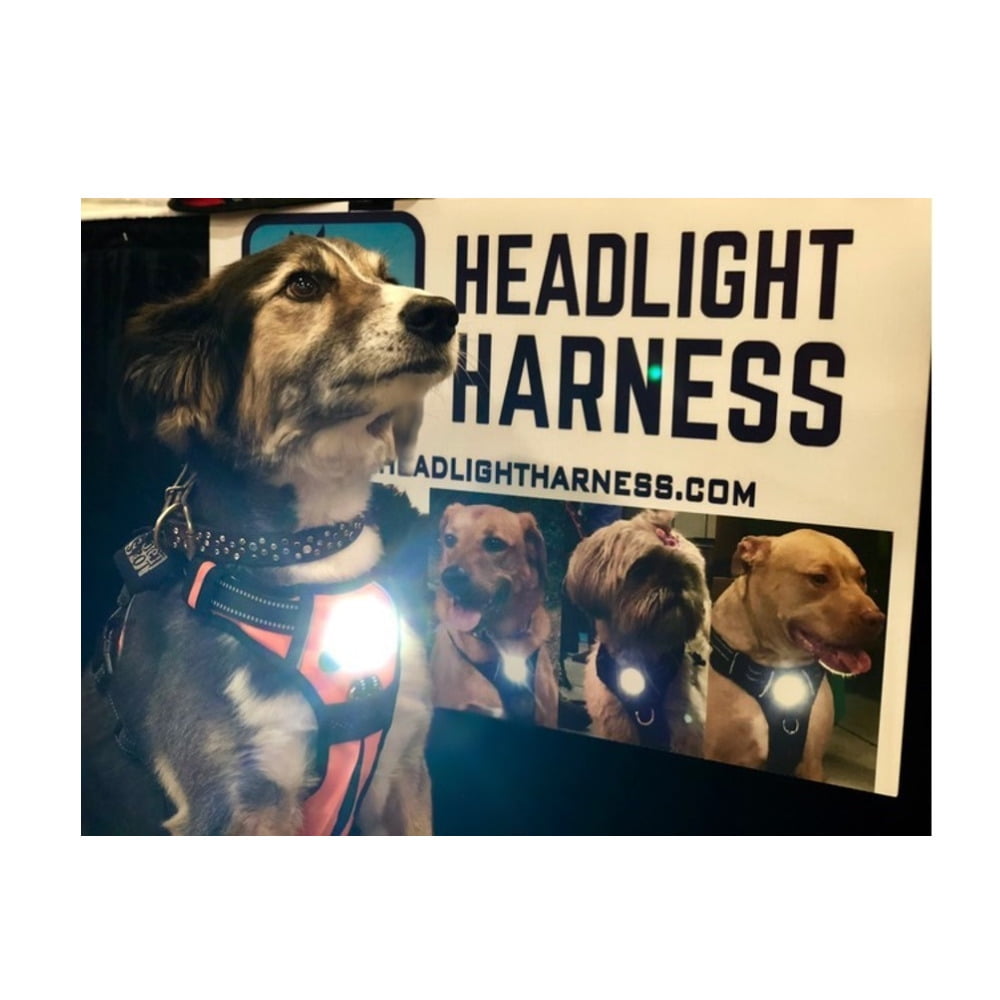 headlight harness dog