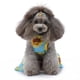 thumbnail image 3 of Desiderio Color estampado de flores ropa para perros ropa para perros ropa para perros verano, 3 of 5