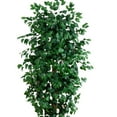thumbnail image 6 of Nearly Natural 8' Ficus Artificial Tree, 6 of 7