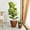 Dark Brown, variant on HQZX-2-Pack Smart Self-watering Flowerpots for Indoor and Outdoor Use-ABS Material-Dark Brown