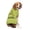 Green, variant on Dr. Seuss' The Grinch! Holiday Pet Sweater Stink Stank Stunk, Green, M