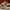 Brown, variant on Men Running Shoes Men Casual Breathable Walking Shoes Sport Athletic Sneakers Gym Tennis Slip On Comfortable Lightweight Shoes