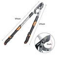 thumbnail image 6 of AIRAJ Extendable Tree Trimmer Anvil Loppers - Heavy Duty Branch Cutter with 2 Inch Cutting Capacity, 27-37” Telescopic Pruning Shears, Compound Action Garden Tool for Thick Branches & Dead Wood, 6 of 7