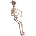 thumbnail image 2 of Posable Halloween Skeleton- Full Body Halloween Skeleton with Movable/Posable Joints for Best Halloween Decoration-20 inch, 2 of 6