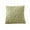 🍒 Green_Hot#4135, variant on Summer Throw Pillow 15.74x15.74 In – Polyester Decorative Cushion with Insert, Gray/Purple/Green/Khaki/White, Invisible Zipper, Washable, Living Room Bedroom Sofa Outdoor Decor