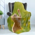 thumbnail image 4 of Cat Soft Flannel Fleece Blanket, Animal Theme Cat Hunting a Ladybug Nature Grass Dandelions Digital Print, Cozy Plush for Indoor and Outdoor Use, 60" x 80", Earth Yellow Pale Green, by Ambesonne, 4 of 5