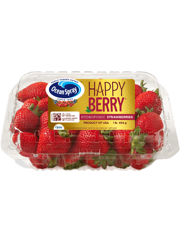 Fresh Ocean Spray Hydroponic Strawberries, 1 lb Container