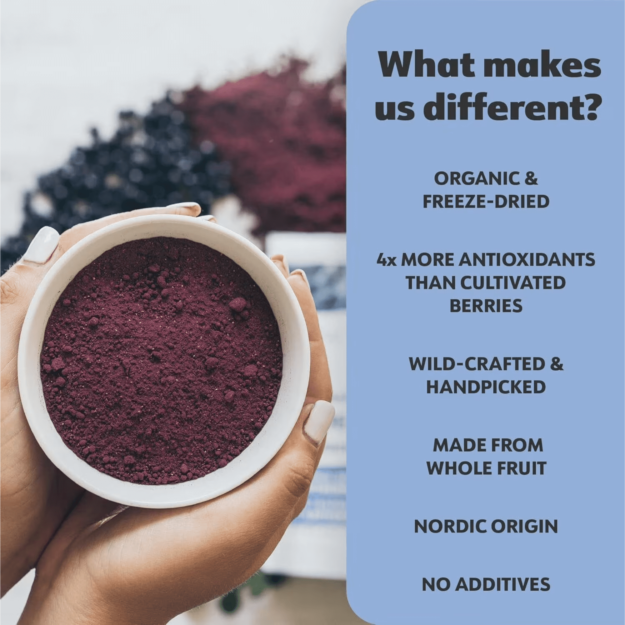 LOOV Organic Wild Blueberry Powder - 6 oz - 35-Day Supply - No Added Sugar