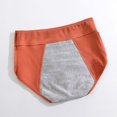 thumbnail image 4 of Bragas menstruales de algodón a prueba de fugas para mujer, ropa interior Sexy, Culotte de cintura alta, período fisiológico, menstruación, 4 of 4