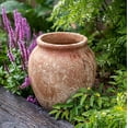 thumbnail image 6 of Distressed Cement Plant Pot, 6 of 14
