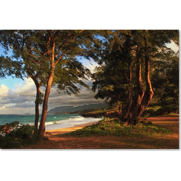 Trademark Fine Art "Hawaii 5" Canvas Art by Jason Shaffer