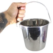 800100 Stainless Steel 2 Quart Pail Food Water Bucket