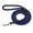 Blue, variant on Nylon Dog Leash 5ft Long Walking Dog Rope Metal Clasp Dog Chain Traction Rope for Medium Dog Training Walking Outside