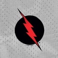 thumbnail image 5 of The Flash Reverse Flash Logo Mens Lined Mesh Shorts, Silver, 2X-Large, 5 of 6