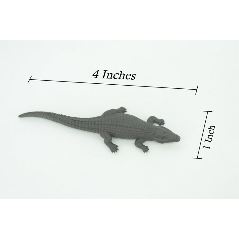 Black Caiman, Melanosuchus niger, Orinoco Crocodile, Educational