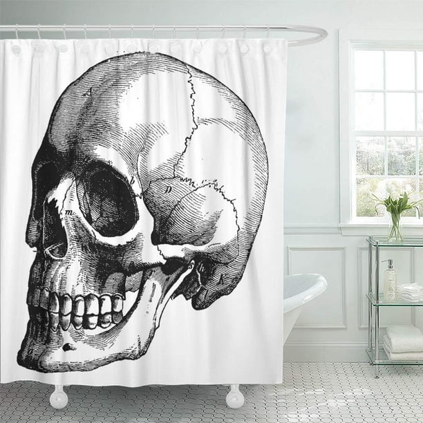 Suttom Black Skull Skeleton Of The Human Head Vintage Engraved Shower Curtain 66x72 Inch Com Suttom Black Skull Skeleton Of The, Skeleton Shower Curtain