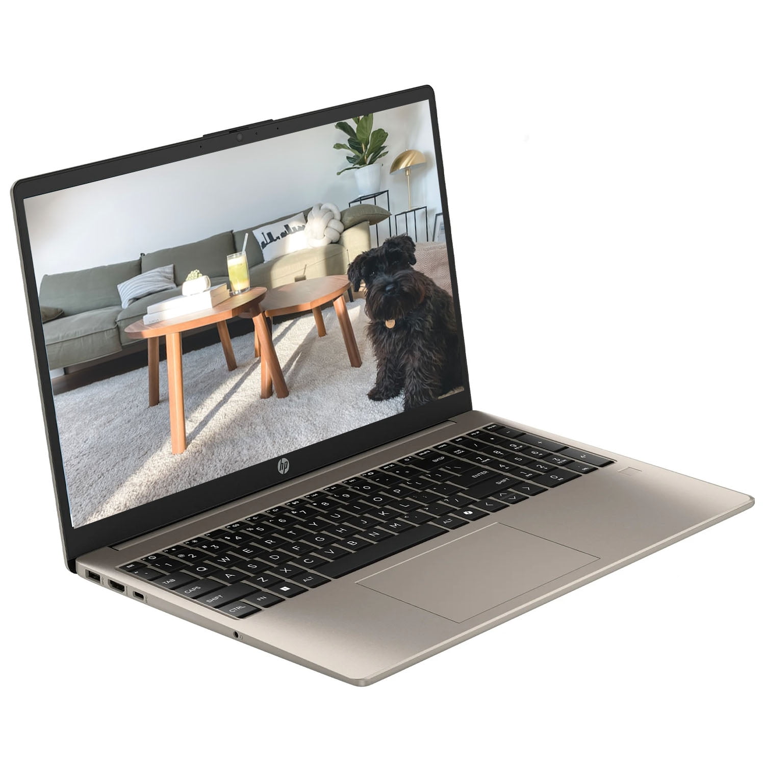 HP 15.6" FHD IPS Touchscreen Business Laptop Computer, Intel 8-Core i3-N305, 8GB DDR4 RAM 256GB SSD, Copilot AI, Fingerprint, Long Battery Life, Windows 11 Home