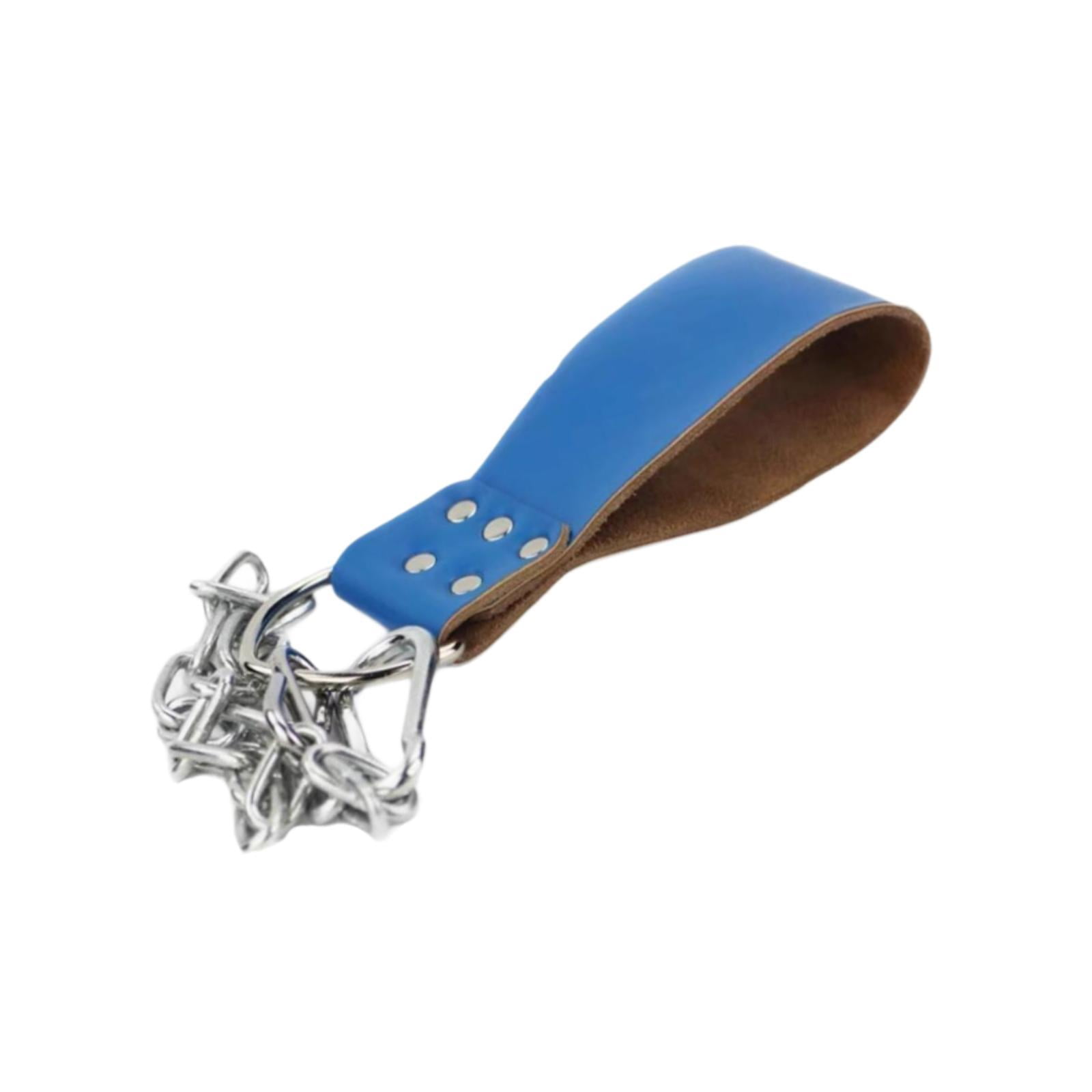 Baoblaze Dumbbell Loading Strap with Chain Waist Belt Attachment for Women Bodybuilding Blue