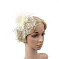 thumbnail image 3 of Chapeau en Filet à Plumes pour Femmes Mini Pince à Cheveux pour Mariage Fête Banquet, 3 of 6