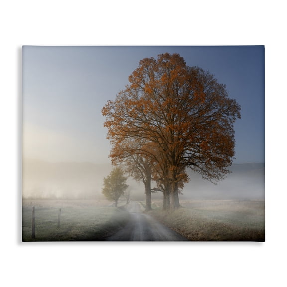 Stupell Industries Traditional Foggy Road Sycamore Tree Canvas Art, 30 x 24, by Rick Berk