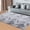Light Grey, variant on FairOnly 10'x13'Washable Silk Wool Tie-Dye Area Rug for Bedroom Non Slip Ultra Soft Indoor Rug for Living Room Dining Room,Pure Black