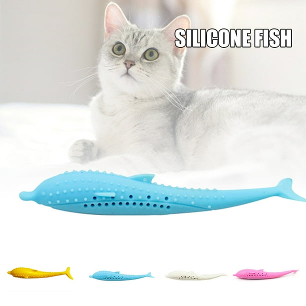 Kitten 2025 chew toys