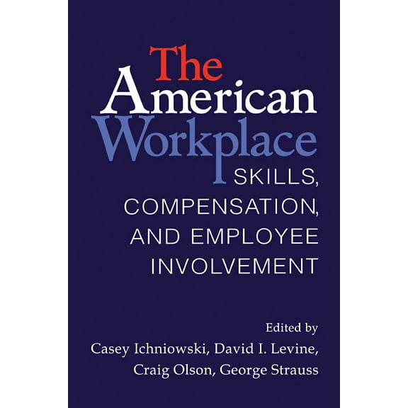 The American Workplace: Skills, Pay, and Employment Involvement, (Paperback)