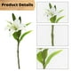 thumbnail image 3 of piezas de lirio tigre artificial de tacto real, lirio de Pascua, flores de primavera falsas para decoración de bodas, fiestas en casa, lirio de plástico falso (blanco, 8), 3 of 5