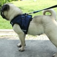 thumbnail image 3 of Dog and Cat Universal Harness with Leash - Cat Harness Escape Proof - Adjustable Reflective Step in Dog Harness, 3 of 6