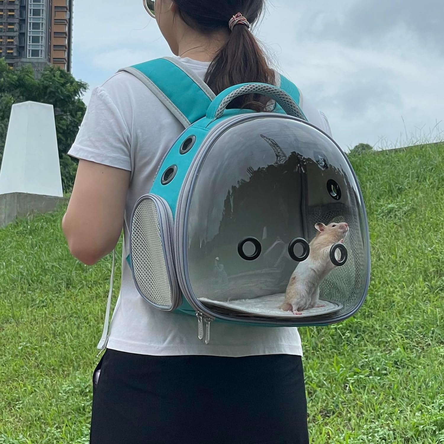 Portable Travel pet Backpack Carrier Hamster Bag Guinea Pig Bird Small Dog cat Turtle Carrier Rabbit Cage Squirrel Bearded Dragon Breathable Hangbag (Green).Product promotion event