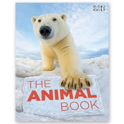 Pre-Owned The Animal Book (Hardcover) 1782098925 9781782098928