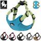 thumbnail image 2 of Truelove Padded Reflective Dog harness Vest Pet Step in Harness Adjustable No Pulling Pet Harnesses for Small Medium Dog TLH5951 ShopWise Round, 2 of 12