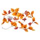 thumbnail image 2 of de Hojas de Arce de 2M, Decoración de Otoño, Luces LED Nocturnas Alimentadas Por Batería, Luces de Hadas para , Sala de  rojos BLESIY Luces de hadas, 2 of 8