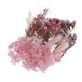 thumbnail image 2 of Adornos para marcapáginas con hojas prensadas y flores secas mixtas 1-5CM G, 2 of 7