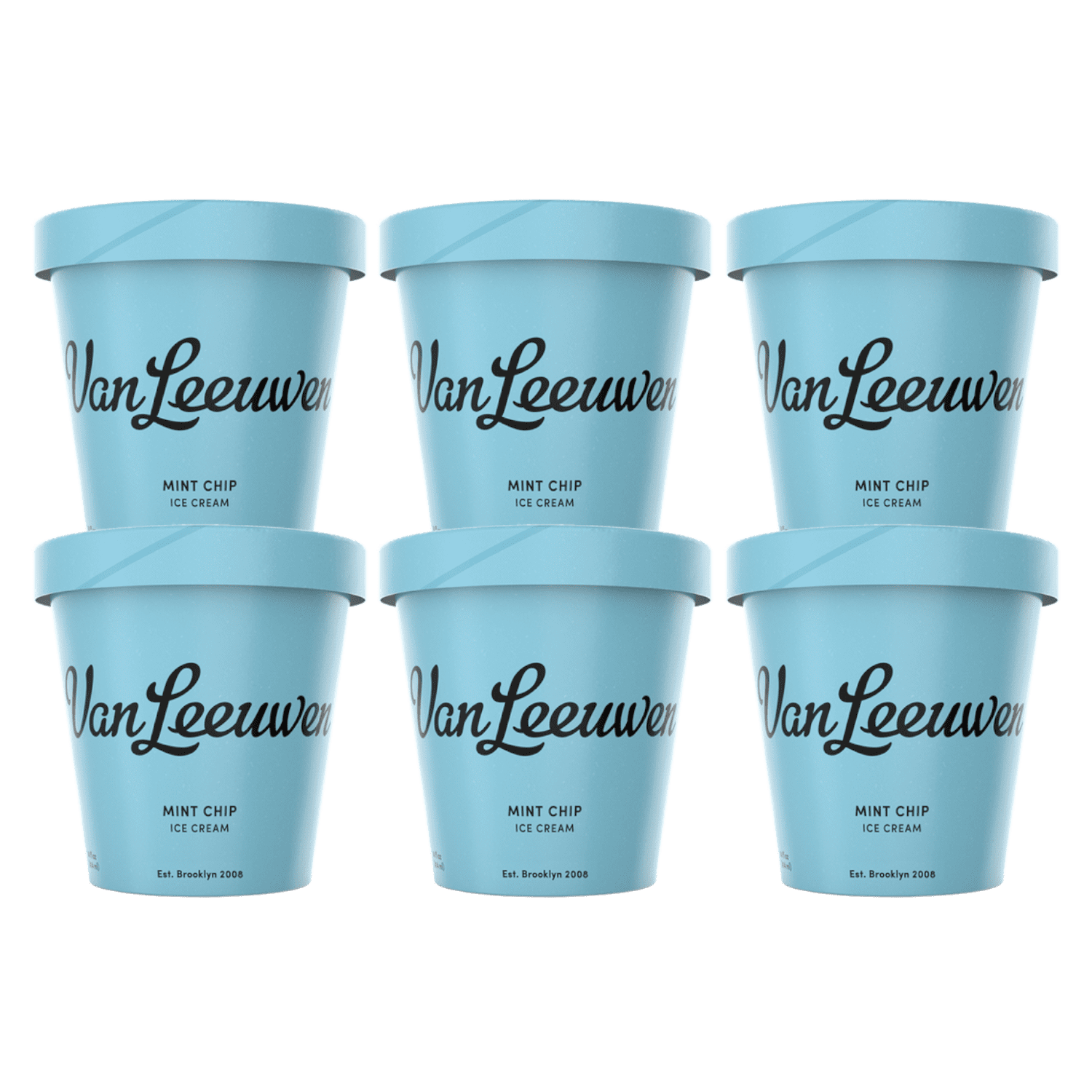 van leeuwen ice cream mint chip van leeuwen ice cream mint chip