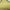 Beige, variant on Shadesheet by Boen Sun Shade Sail Canopy, Triangle, 16'x16'x16', Multiple Colors