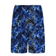 thumbnail image 4 of Dreluolixuan Cool Shorts for Men Drawstring Elastic Waist Plus Size Layered Shorts Elastic Waist Pants Print Lightweight Beach Pants with Pockets, 4 of 6
