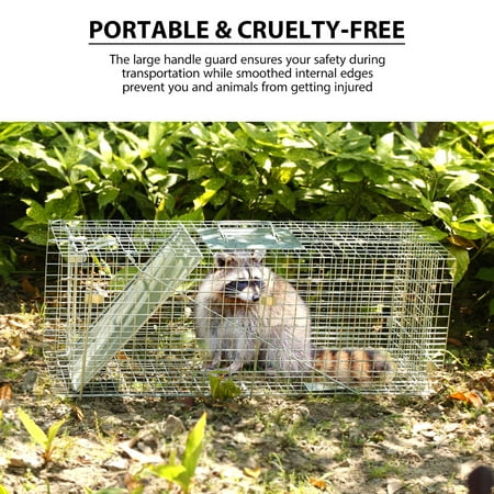 Collapsible 1 Door Live Animal Cage Trap for Racoons Cats Squirrels Opossum Ground Hog 32 x 10 x 12 Inch