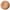 LIGHT/MEDIUM NEUTRAL, variant on L'Oreal Paris True Match Concealer, Liquids, Fair Light Cool, 0.17 fl oz