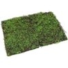 Terrarium Moss Background Backdrop Wall Artificial Reptile Amphibian Cage Decoration for Lizard Bearded Dragon Snake Frog Chameleon Climbing