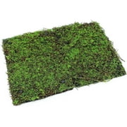 Terrarium Moss Background Backdrop Wall Artificial Reptile Amphibian Cage Decoration for Lizard Bearded Dragon Snake Frog Chameleon Climbing