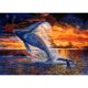 thumbnail image 1 of Pintura de diamante (DE5240) Salto de ballena Juego de imagen de diamantes de imitación redondo completo 40x30cm 20X30cm Hugtrwg Para estrenar, 1 of 1