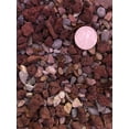 thumbnail image 3 of REGULAR GRITTY Cactus  Succulent Premium Potting Mix, 3 of 9