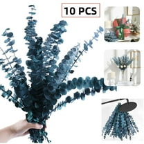 Dried Eucalyptus Stems Blue, Christmas Natural Fresh Eucalyptus Leaves for Vase, Dried Preserved Eucalyptus for Shower, Fall Decorations for Home, 17" Floral Arrangement, Wedding (10 Pcs)