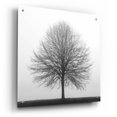thumbnail image 2 of Epic Art 'Winter Trio I' by Nicholas Bell Photography, Acrylic Glass Wall Art, 24"x24", 2 of 8