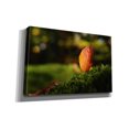 thumbnail image 2 of Epic Graffiti 'Leaf and Ant' by Philippe Sainte-Laudy, Canvas Wall Art, 40"x26", 2 of 8