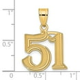 thumbnail image 6 of Diamond2Deal Mother's Day Gift 14K Yellow Gold Polished Etched Number 51 Pendant for Women, 6 of 7