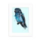 thumbnail image 1 of Black Blue Parrot Ave Marco de Fotos de escritorio imagen Blanco Pintura arte 5x7 pulgadas, 1 of 4