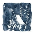 thumbnail image 3 of Robinson, Carol 12x12 Black Modern Framed Museum Art Print Titled - Indigo Bird II, 3 of 5