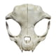 thumbnail image 1 of Máscara de goma para cosplay de Halloween, bestia blanca, soldado y hueso, 1 of 4